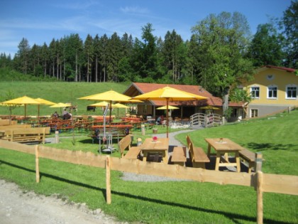 照片: "Ochs am Berg" 